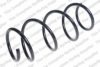 ROC CS8130 Coil Spring